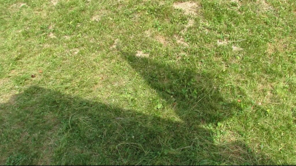 Na nierówną, zieloną trawę z jasnymi plamami wyschniętej ziemi pada ostre światło słoneczne. W dolnej części zdjęcia widać wyraźny geometryczny cień - prawdopodobnie budynku. Na jego prawym rogu widoczny jest charakterystyczny, falujący kształt flagi poruszanej wiatrem.